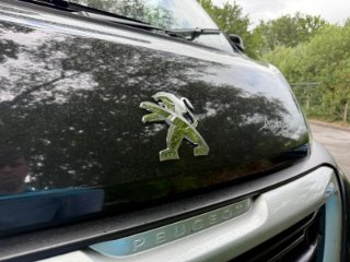 /photos/11433/151d1857-07ae-a2e8-b3d0-55fbe26ae535_i320x240.jpg