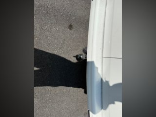 /photos/11433/8131941c-8818-5fa3-4ddc-d132b640c998_i320x240.jpg